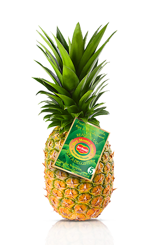 Ananas Via aerea