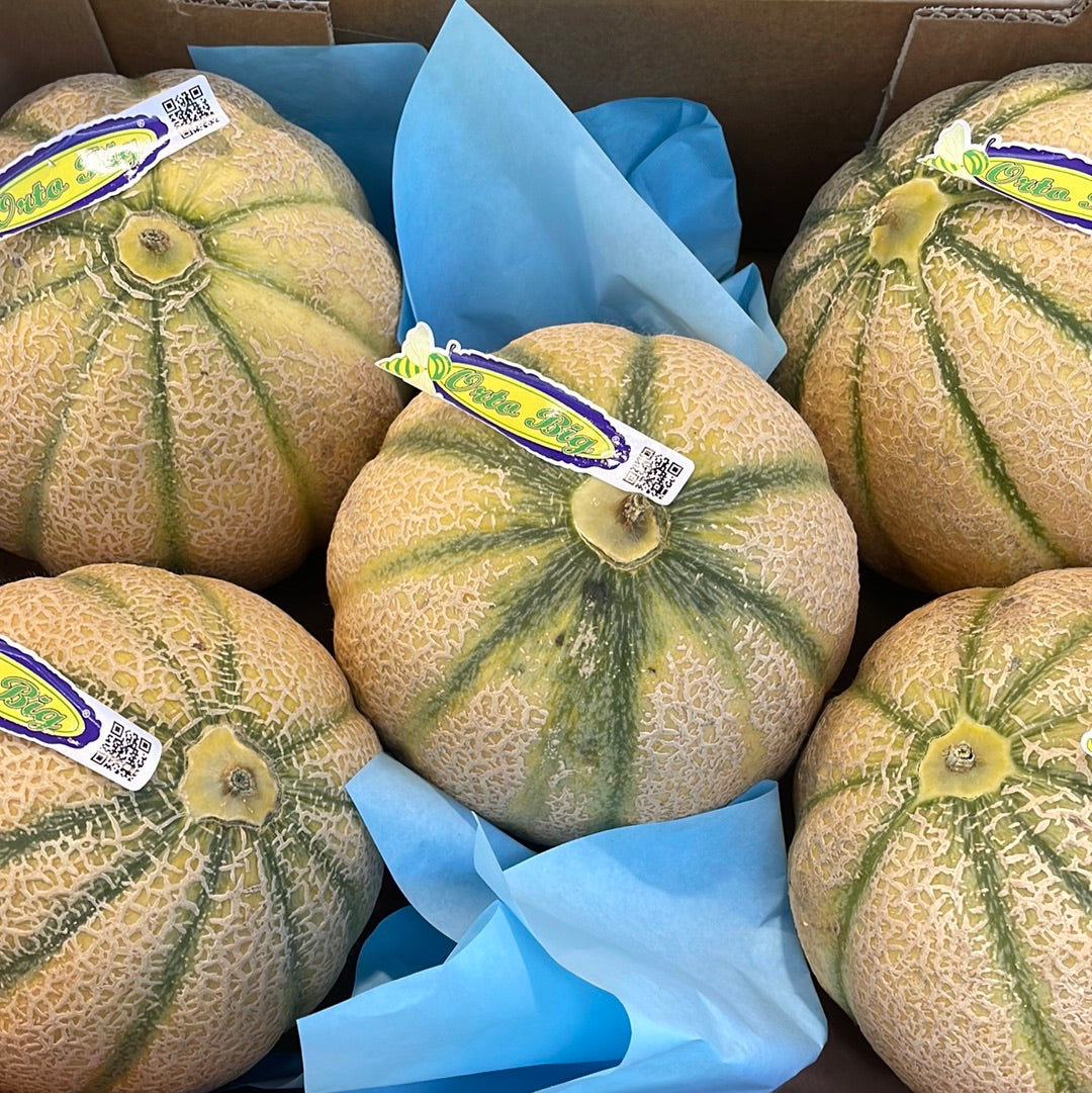 Melone 1 pz