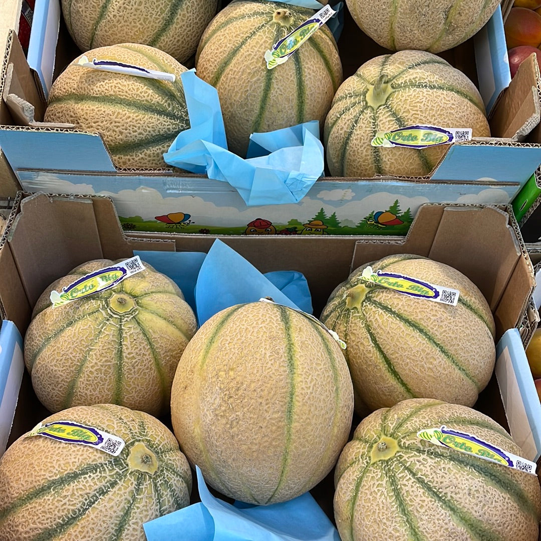 Melone 1 pz