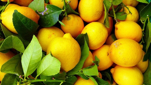 Limoni Foglia 0,5kg