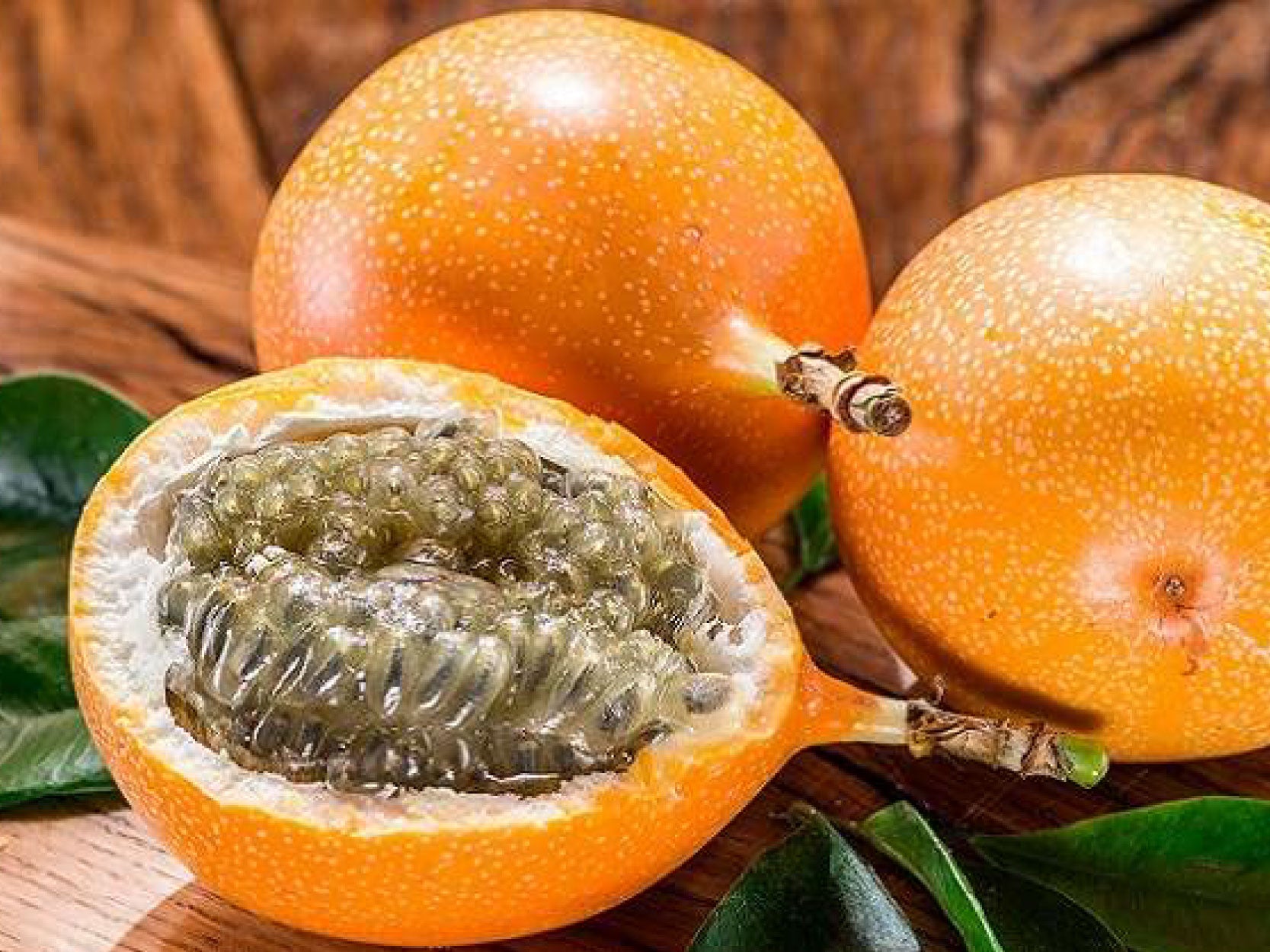 Granadilla 1Pz