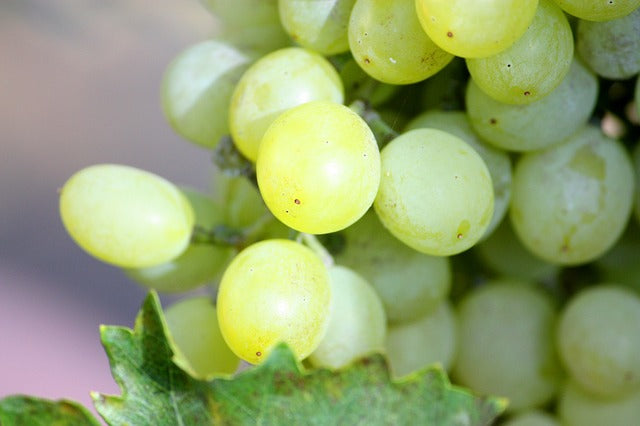 Uva Italia 0,5kg