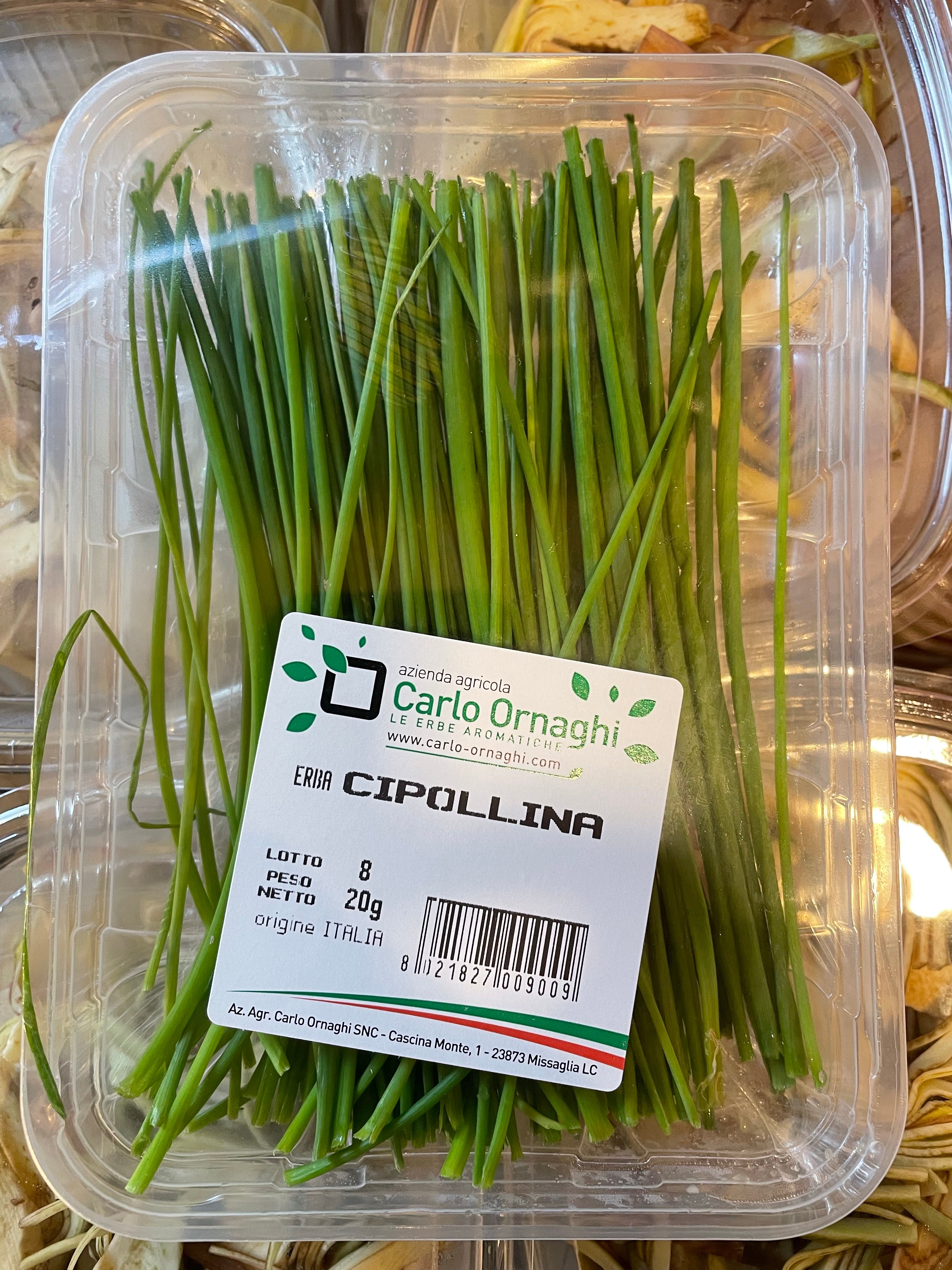 Erba cipollina 1pz