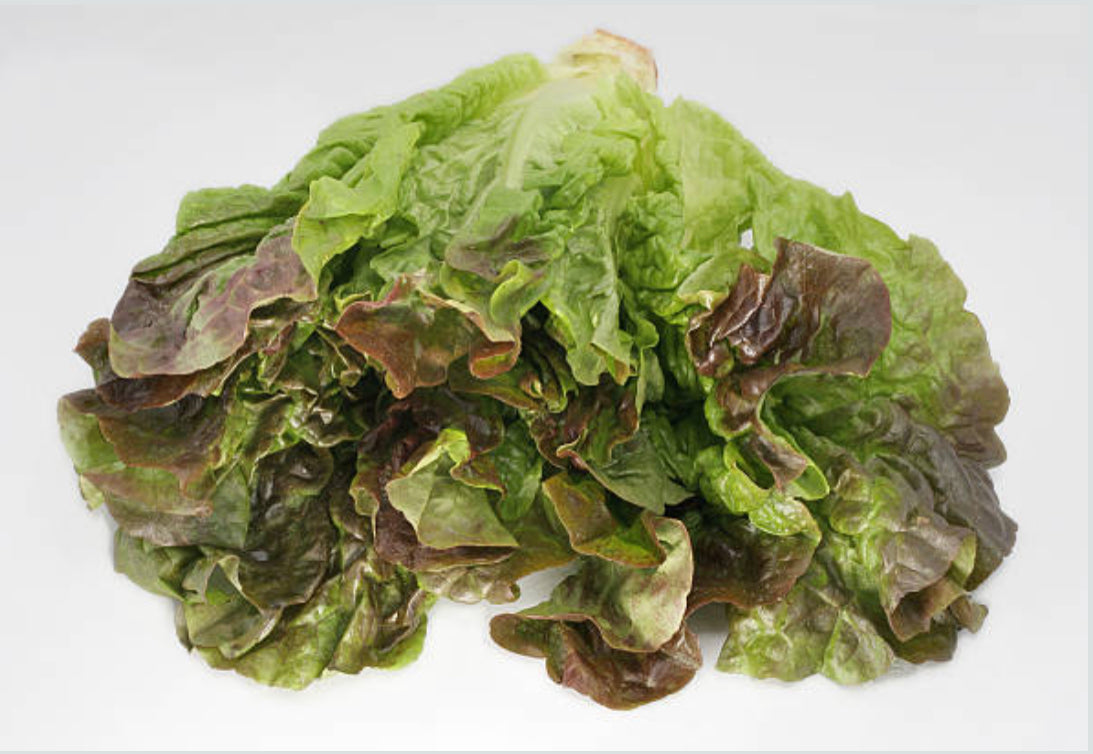 Insalata Lollo 2pz
