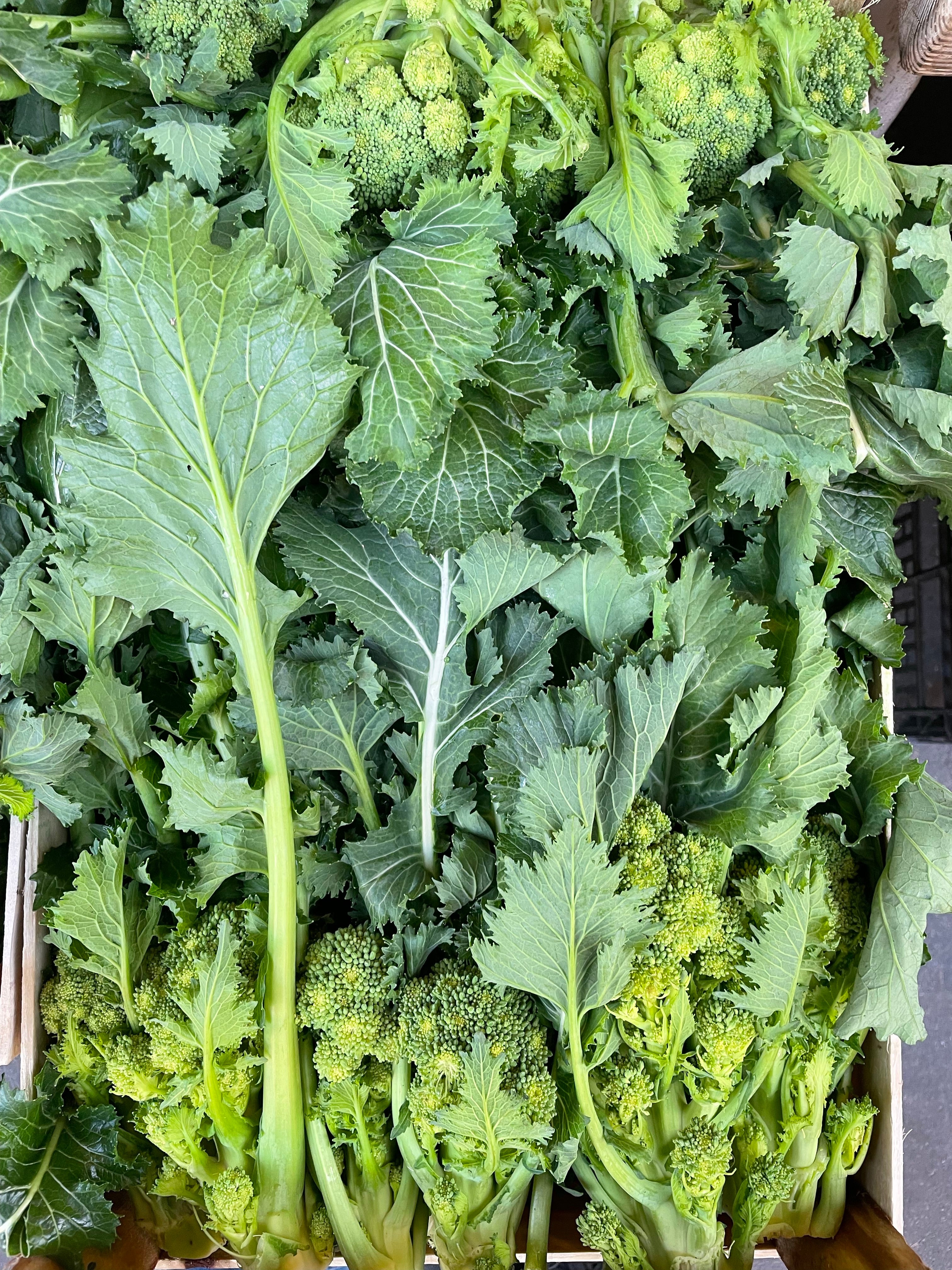 Cima di rapa 1kg