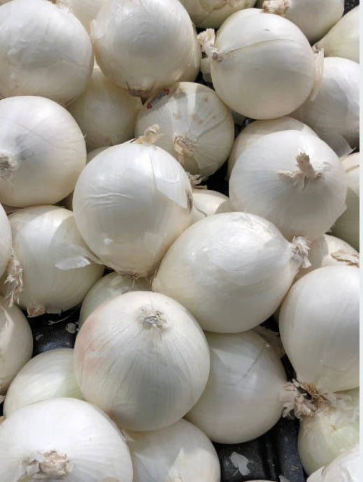Cipolla bianca 0,5kg