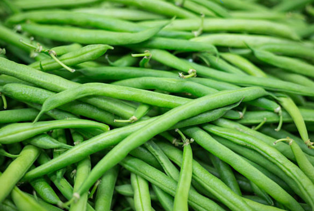 Fagiolini 1kg