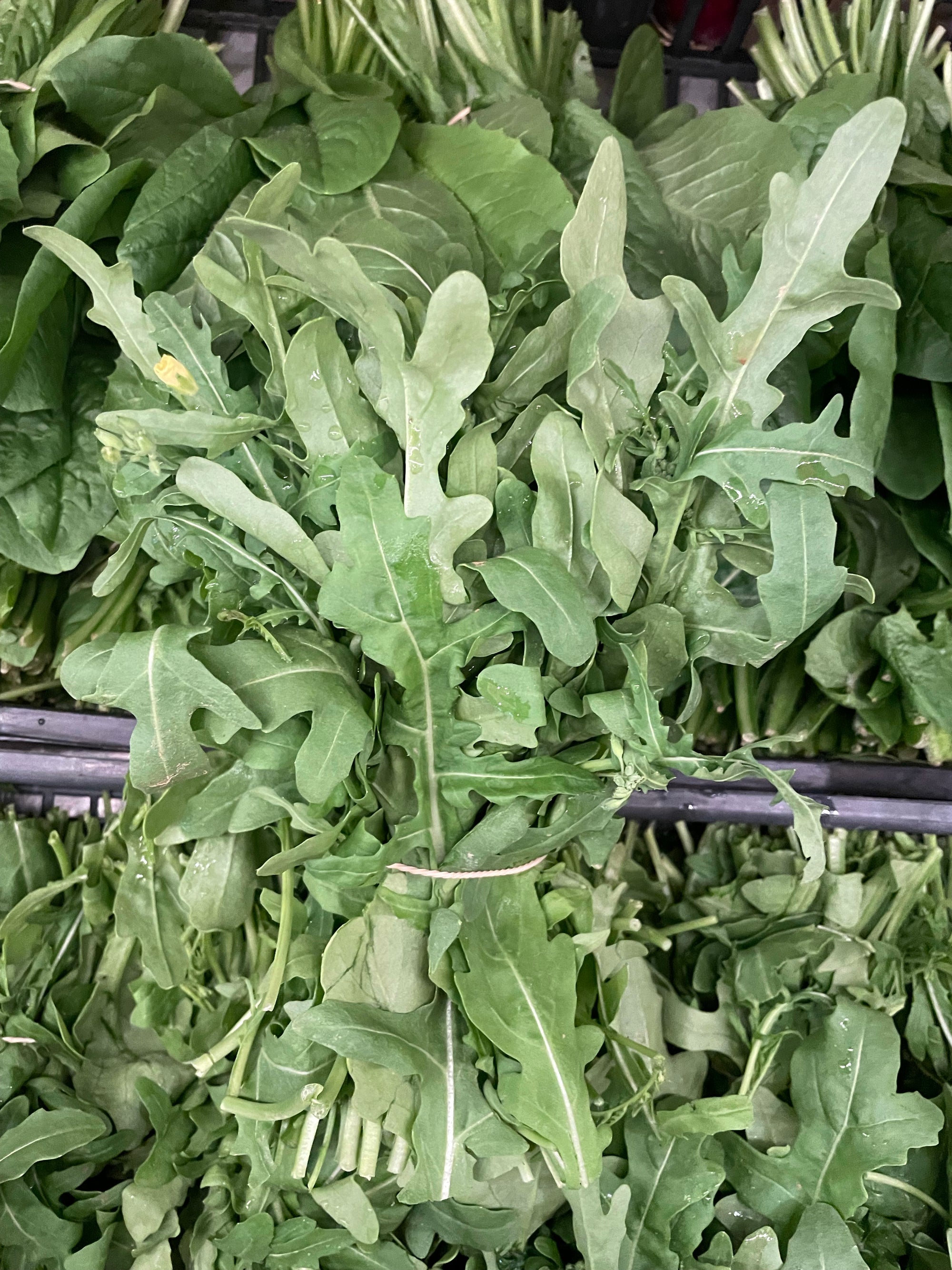 Rucola selvatica mazzetto 1pz