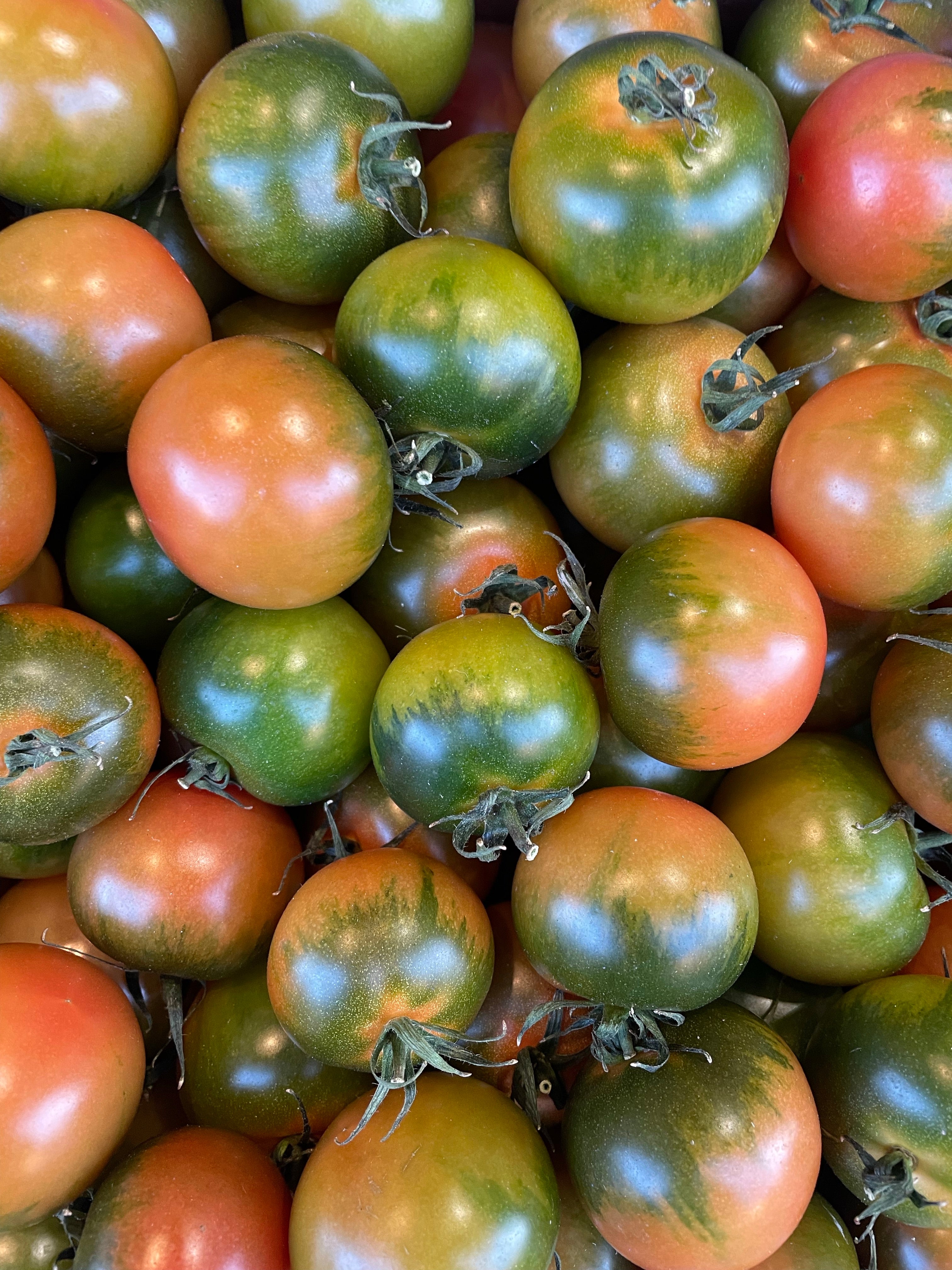Pomodoro Camone 0,5kg
