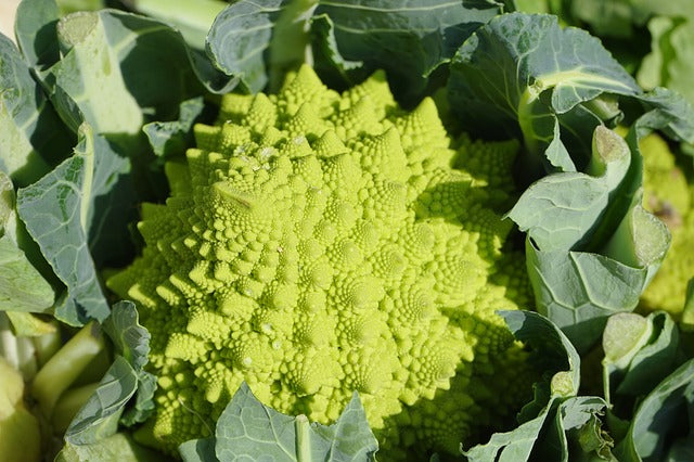 Cavolfiore Romanesco 1kg
