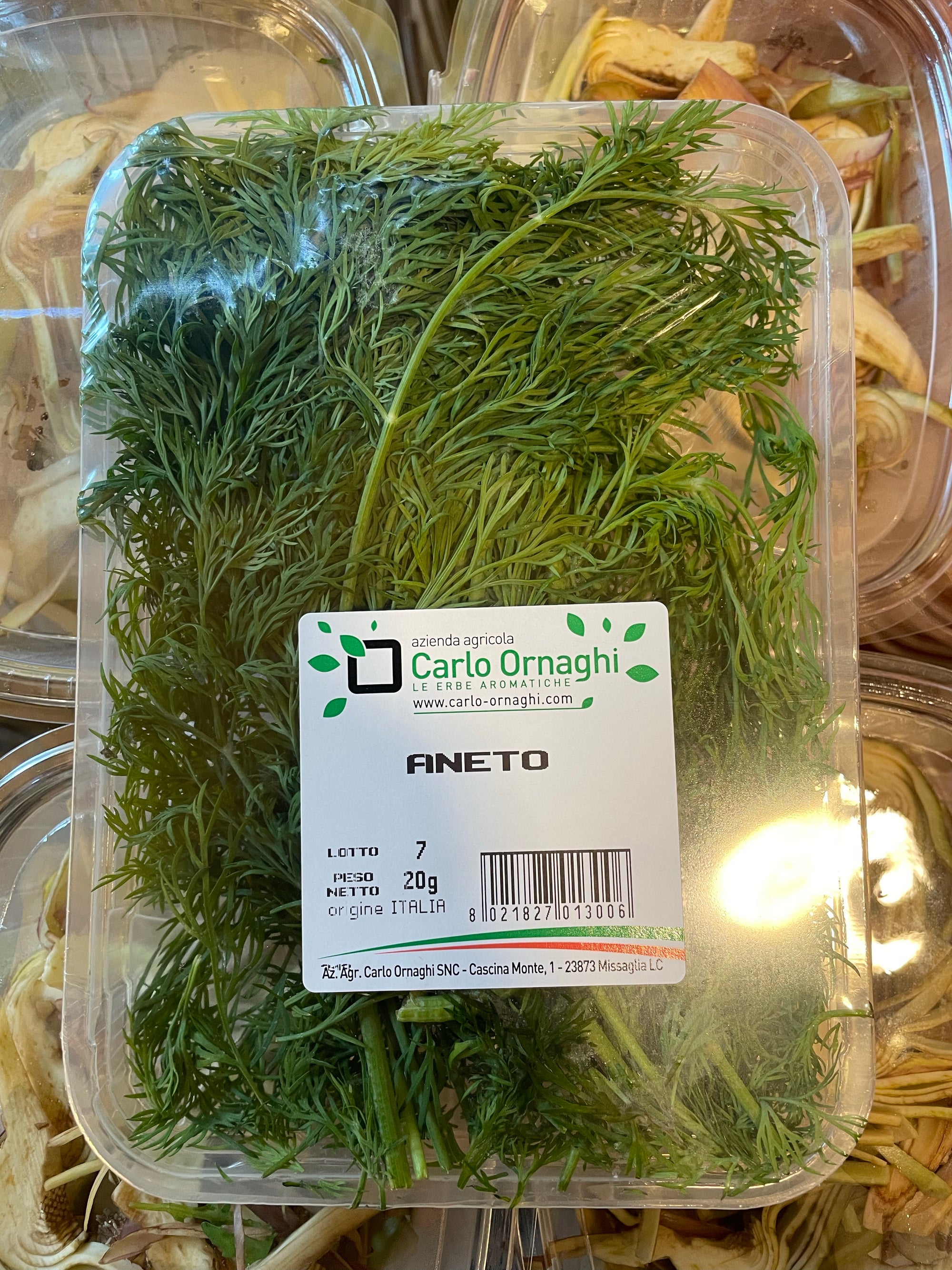Aneto 1pz