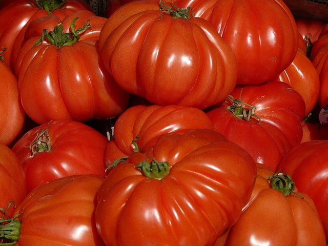 Cuore di bue 0,5kg