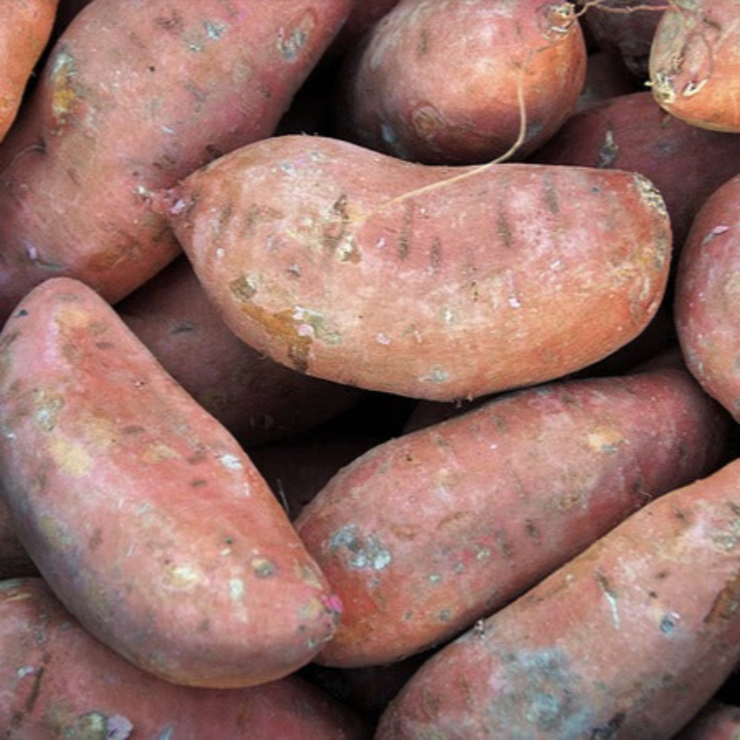 Patata dolce rossa 0.5 kg