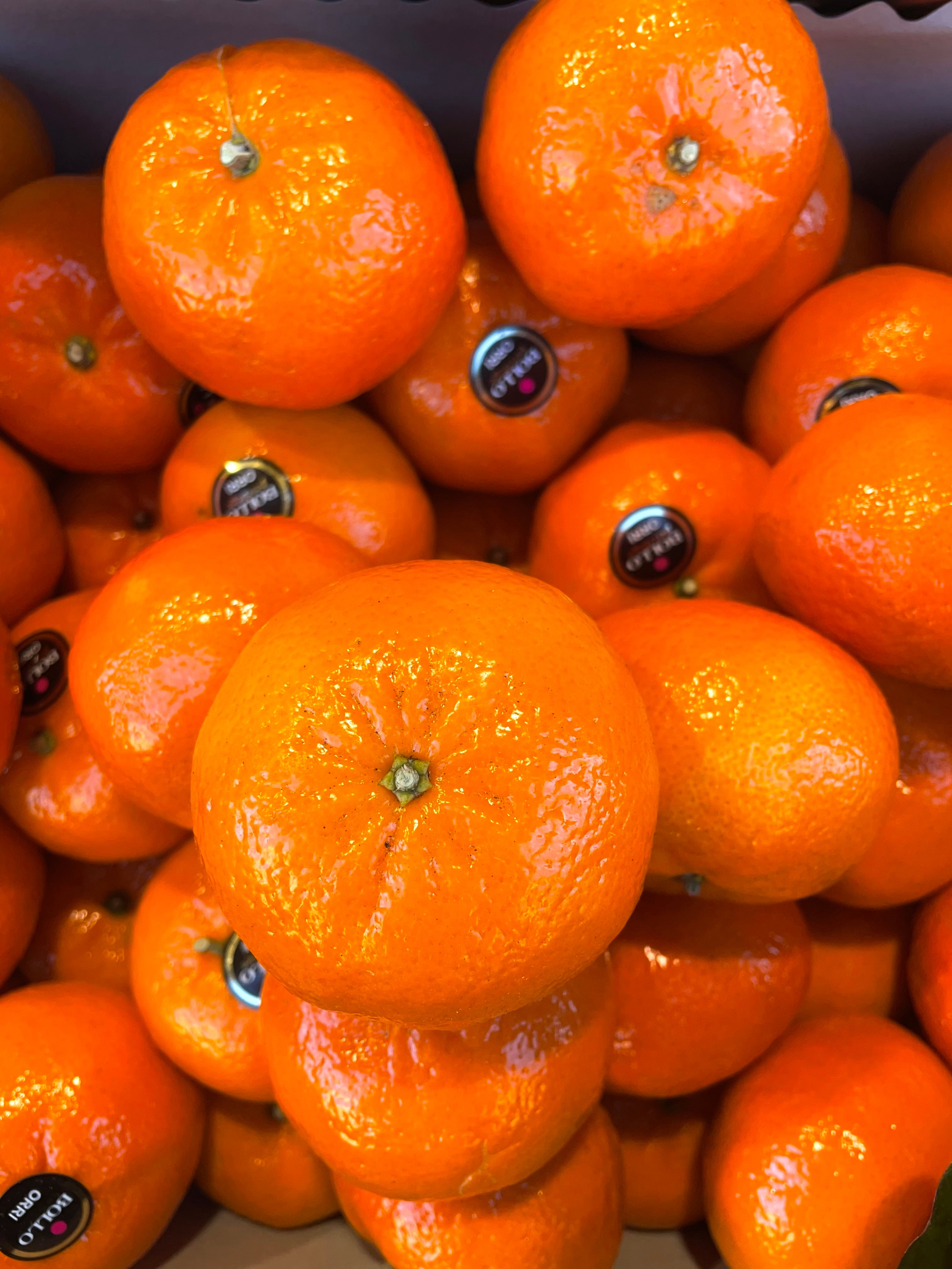 Clementine Orri Jaffa 1kg